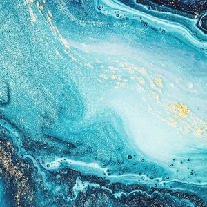 Meet your Posher, Ella